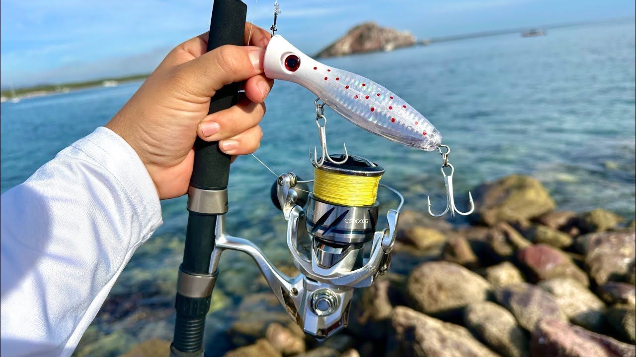 PESCA con POPPER desde la ORILLA // pesca con Roger // Rockfishing