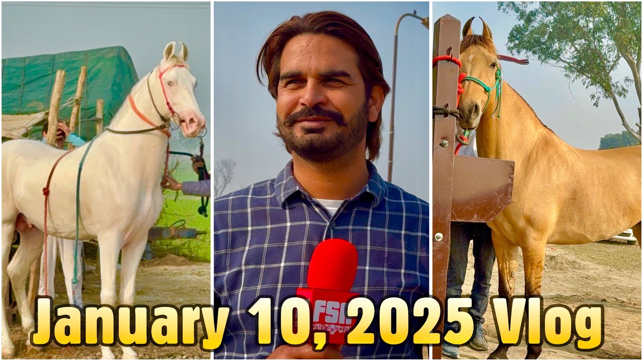 Muktsar Horse Mela 2025 January 10 Vlog  मुक्तसर घोड़ा मंडी | ਮੁਕਤਸਰ ਘੋੜਾ ਮੰਡੀ
