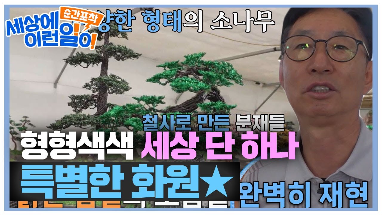 형형색색 철사의 변신 철사 분재 예술가 #순간포착세상에이런일이 #WhatonEarth #SBSstory