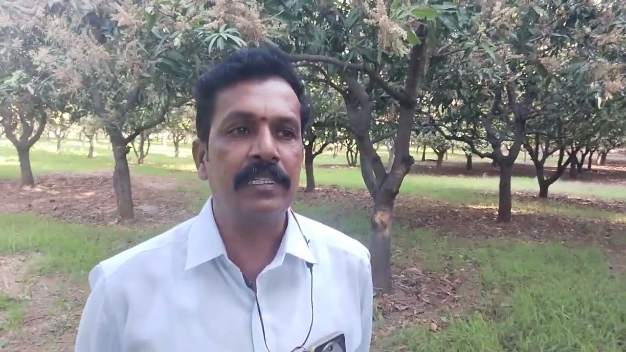  సందేశం, ఆవులు ప్రకృతి  సేంద్రియ సేద్యం పెంపకము పశువుల సంపద విశిష్టత 