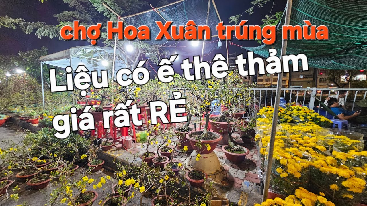 #chohoaxuan #saigon #saigonnightlife #tet #vietkieu #dulich #duxuan #vietnamcountry 