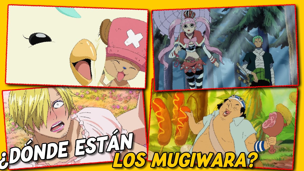 DONDE ESTAN LOS MUGIWARA ONE PIECE RESUMEN