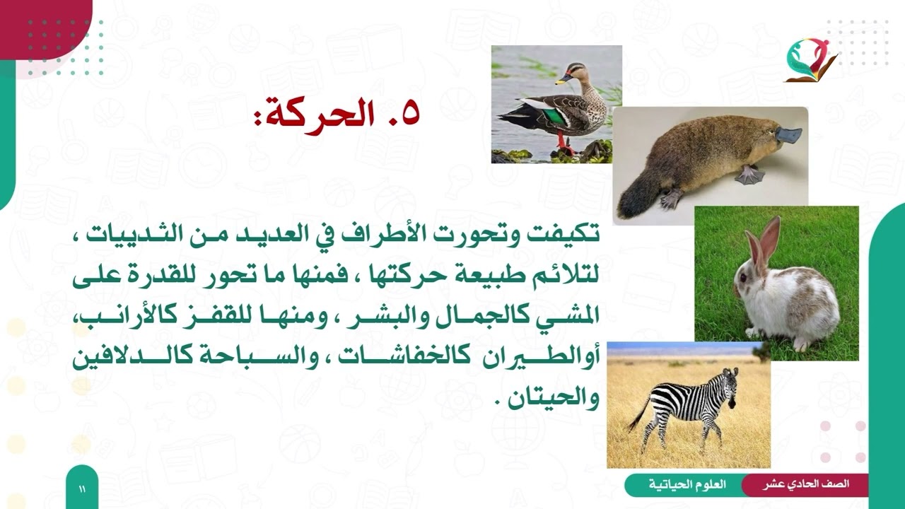 العلوم الحياتية 11 - الفصل 2 | صف الثدييات