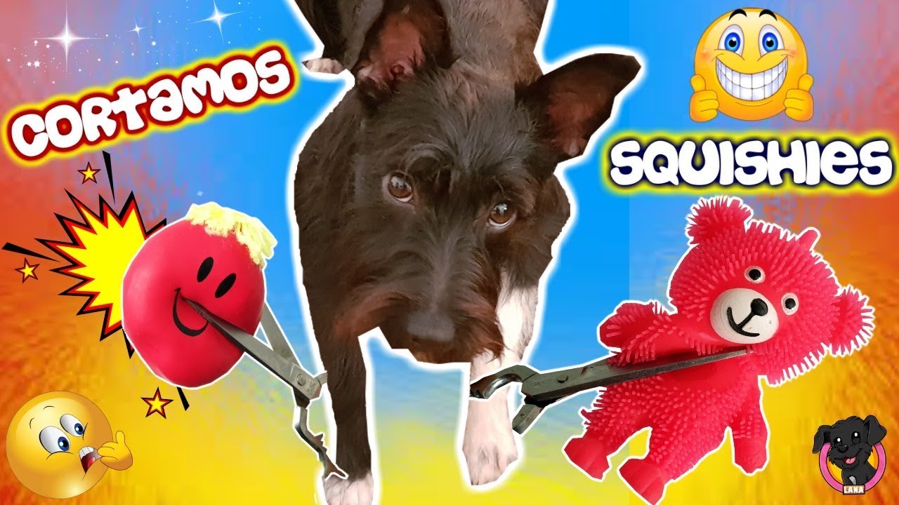 CORTANDO Y ABRIENDO SQUISHIES y Juguetes de Lana BLANDITOS