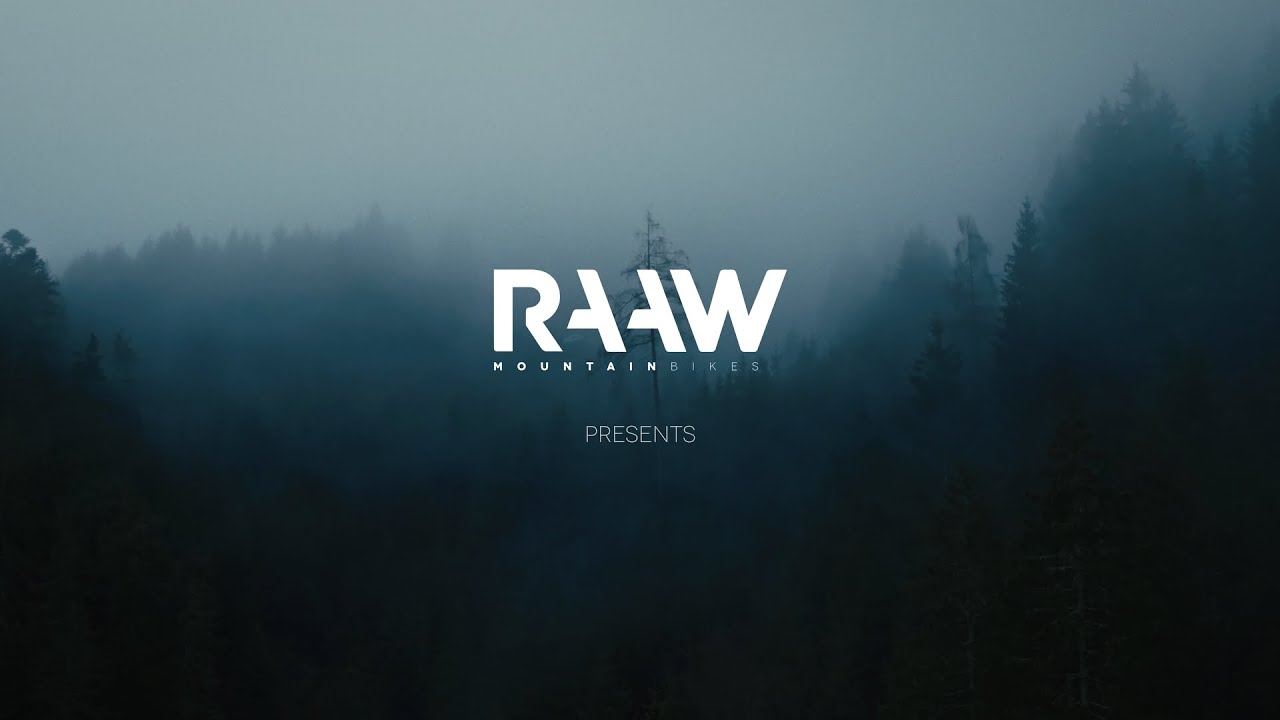 RAAW - Yalla feat. Stevie Schneider