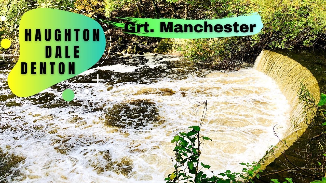Haughton Dale Nature Reserve | Denton | Manchester | England