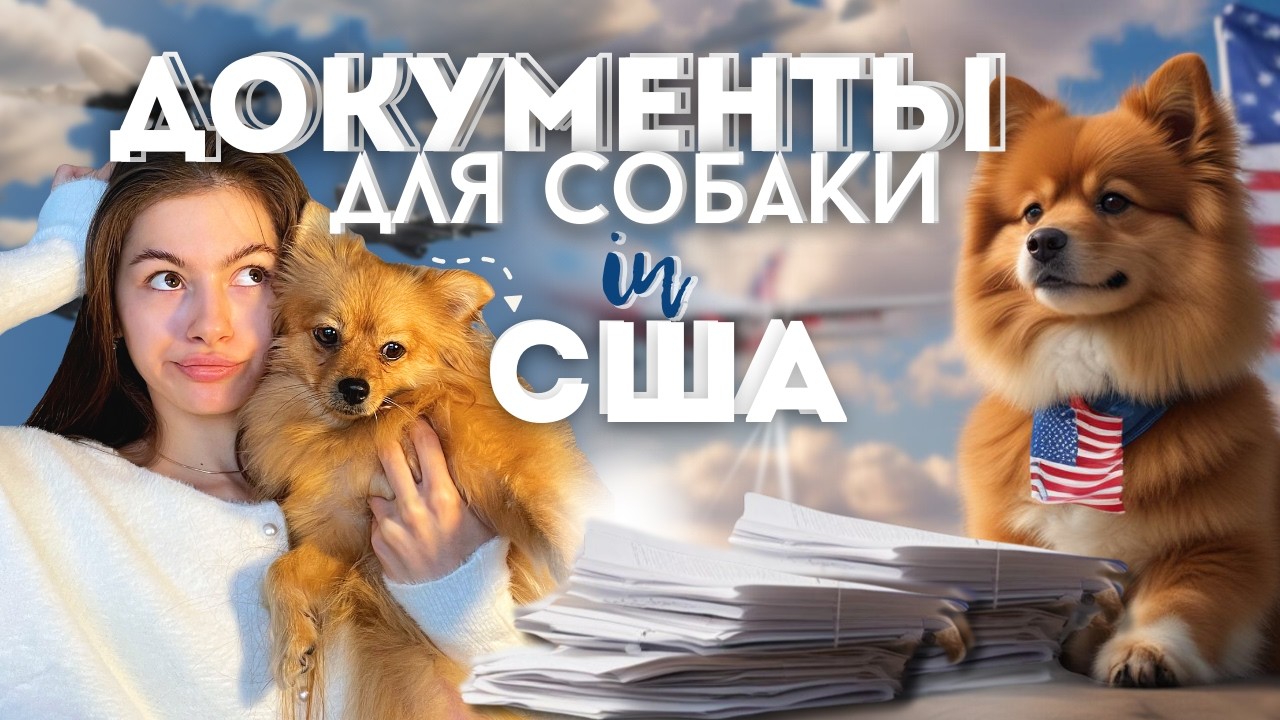 ВЫВЕЗЛИ собаку из БЕШЕНОЙ СТРАНЫ в США | Новые правила