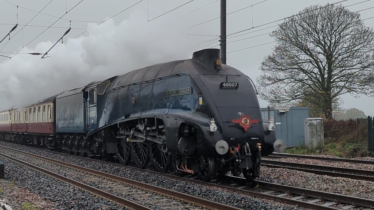 Two Christmas White Roses steam to York? With A4 60007 'SNG' & Black 5 44871, Sat. 15th Nov. 2025.