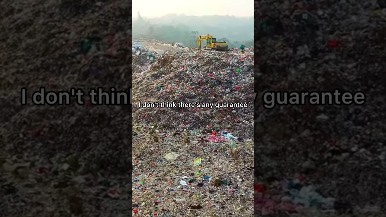 Our planet needs our help #wildlife #conservation #earth #hopecore