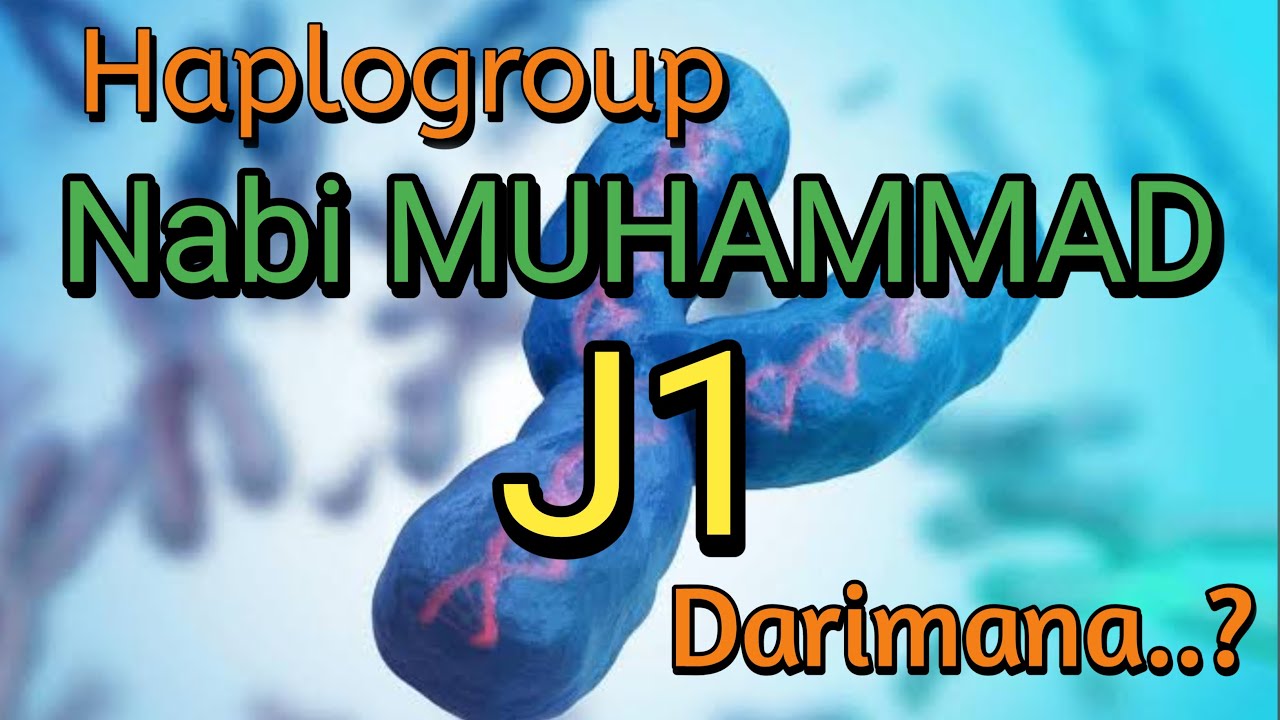 Polemik Nasab Baalawi || Haplogroup Nabi Muhammad J1, Benarkah?