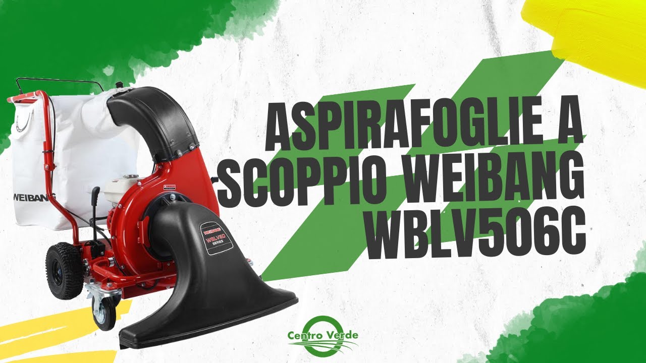 Aspirafoglie Weibang Wblv506c: un grande aiuto per l'autunno!