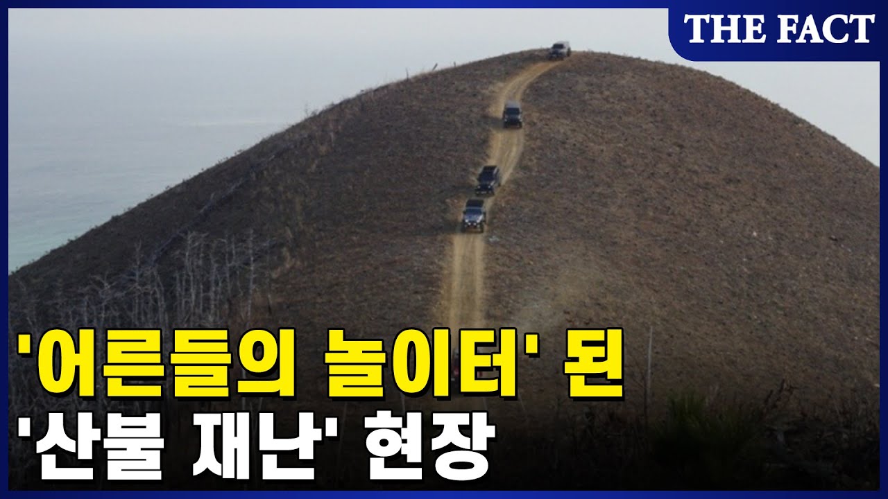 '어른들의 놀이터' 된 '산불 재난' 현장 [탐사이다]