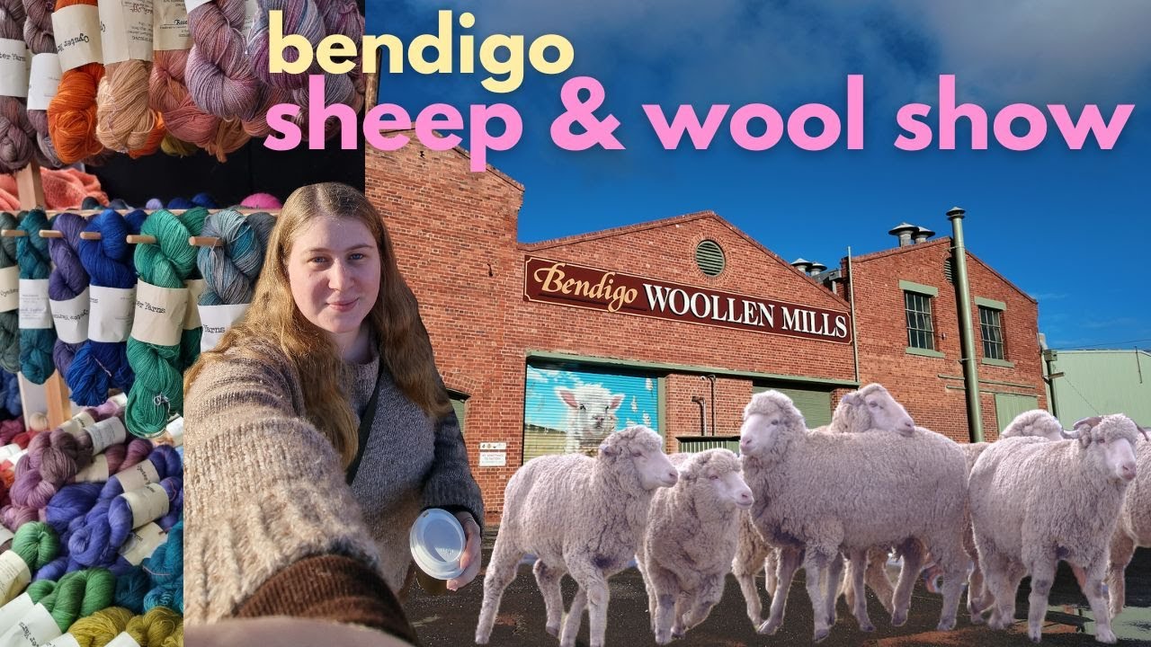 australian sheep and wool show 🐑 bendigo vlog