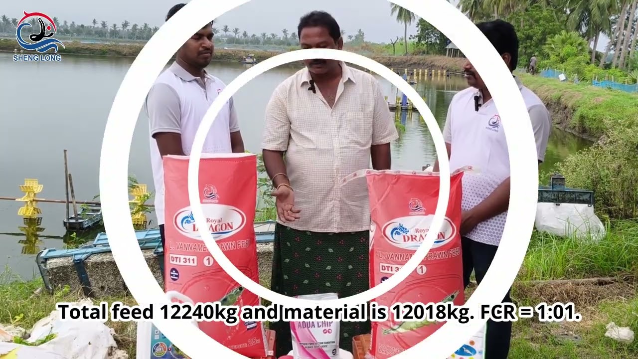 Mandaveli, Ap Mr Jagan Mohan Dragon Ahp20 08 2025