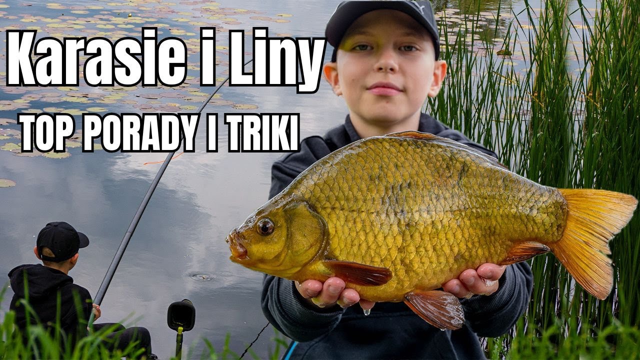 KARASIE I LINY: Porady dla Początkujących i Zaawansowanych! #teamkostek