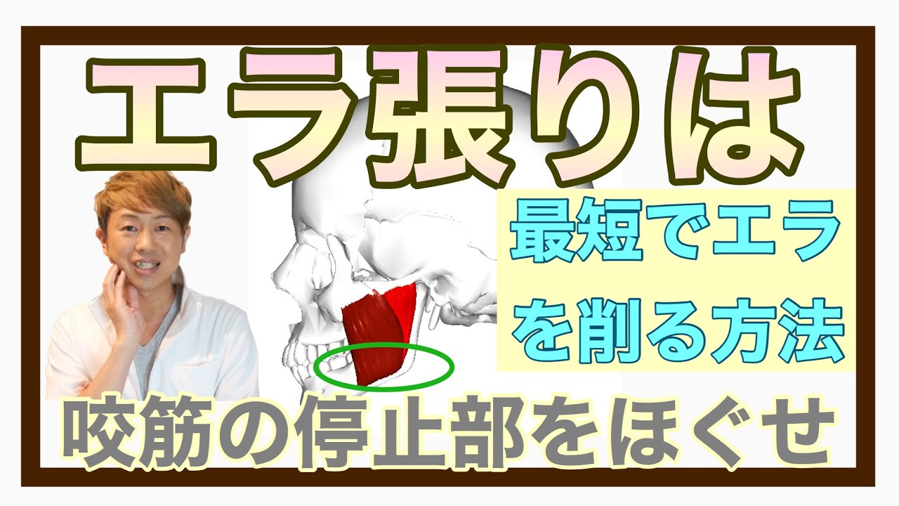 【超最速でエラを削る方法】筋肉の仕組みが分かれば超絶簡単にエラを削れます！