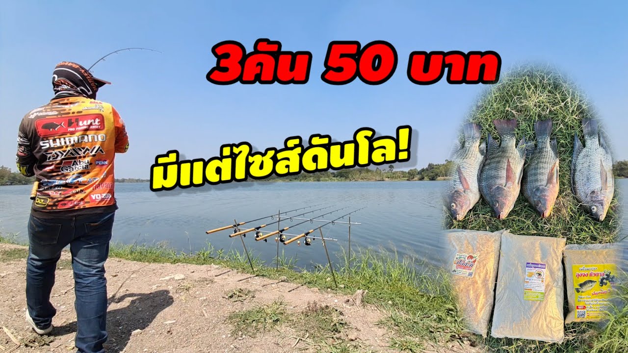 ตกปลาหน้าดิน 3คัน50บาท หมายนี้มีแต่ดันโล❗️กินเบาๆ แต่ไซส์โบ้ๆ