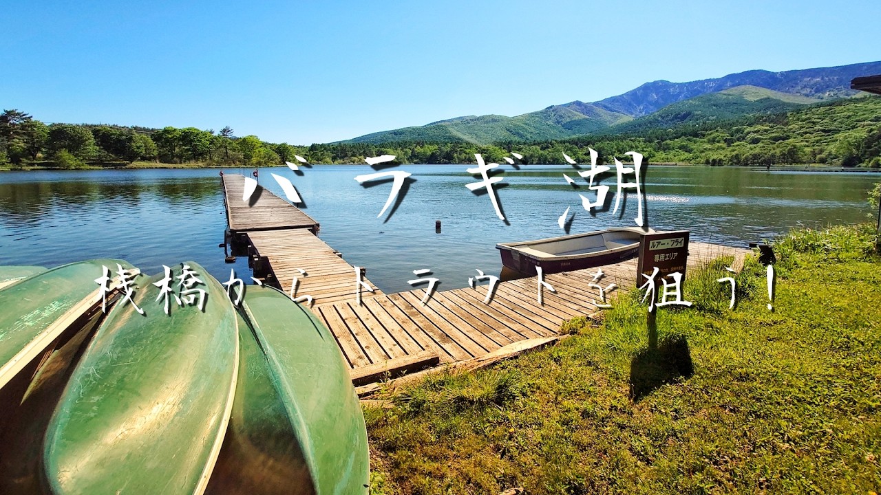 バラギ湖！高原の湖でトラウトフィッシング！桟橋からのフライフィッシング！Fly fishing for trout on Lake Baragi