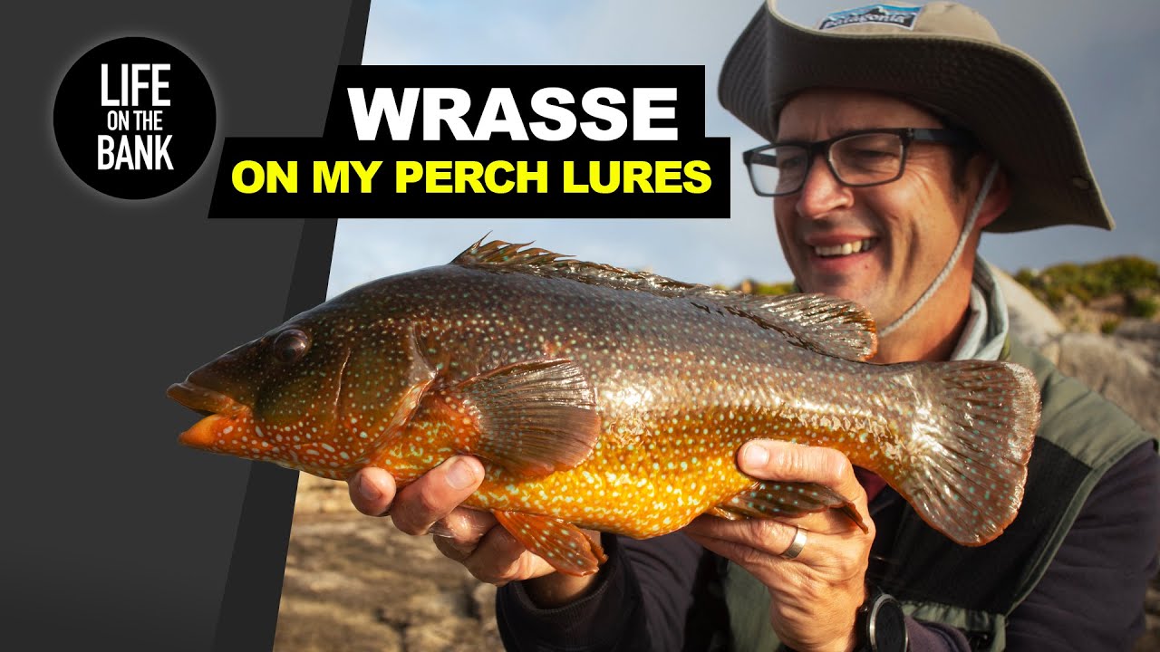 WRASSE FISHING WITH LURES USING PERCH GEAR