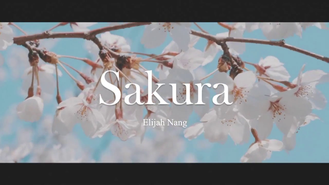 Elijah Nang - Sakura 桜.