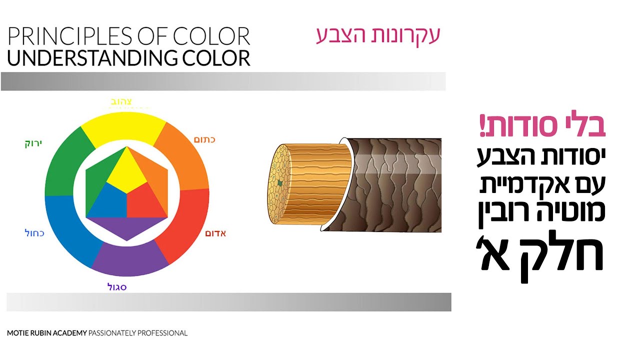 איך באמת עובד צבע לשיער? | יסודות הכימיה שכל מעצב שיער חייב להכיר