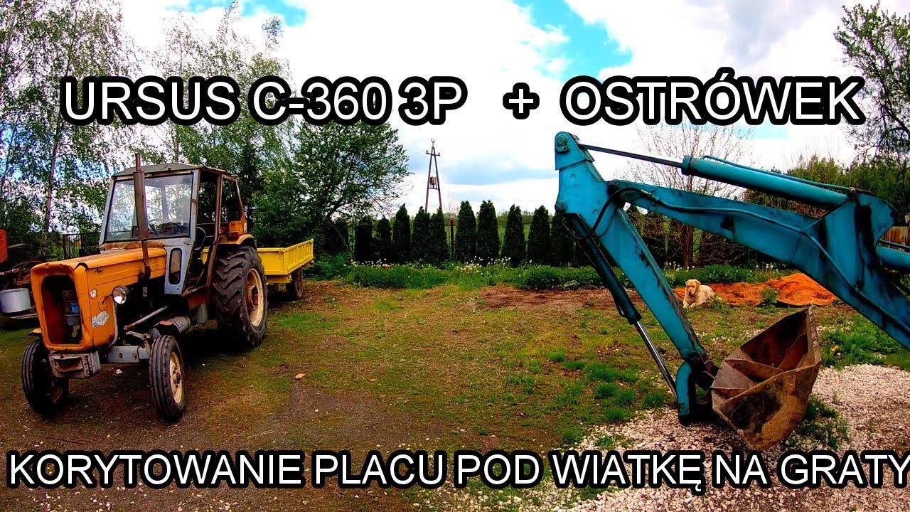 Korytowanie terenu pod małą wiatkę. Ostrówek w swoim żywiole. S2E36