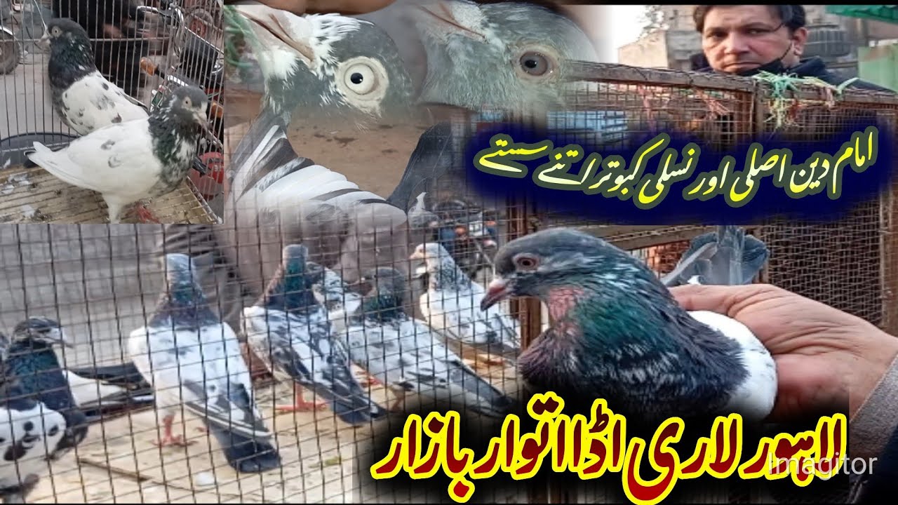 لاہور لاری اڈا اتوار بازار 