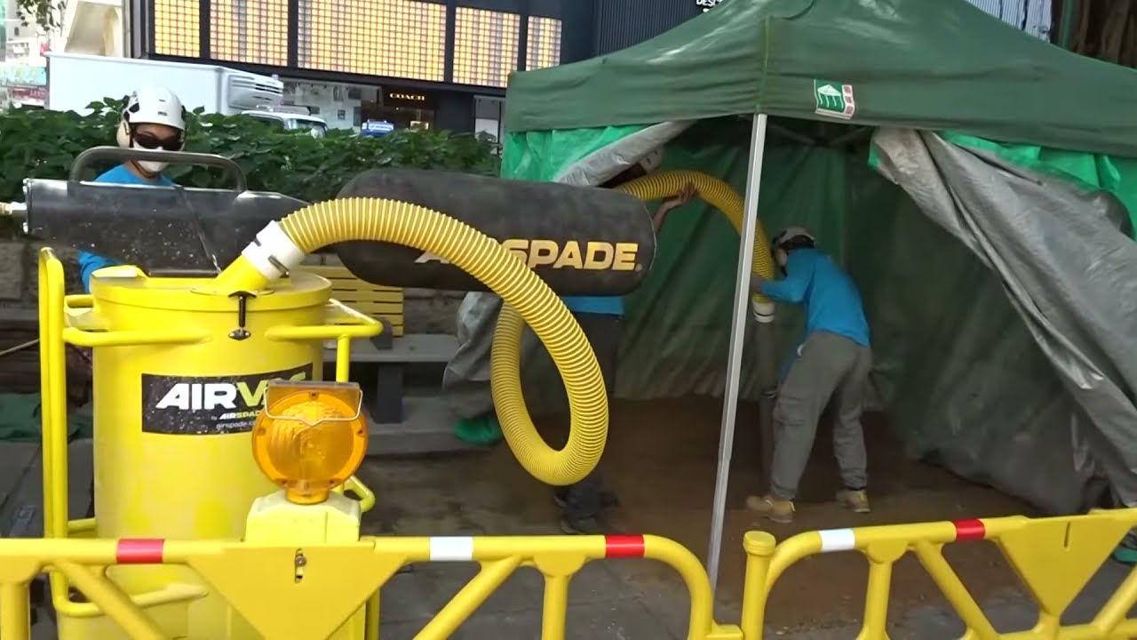 ATP Airspade and Airvac Utility Excavation Near Heritage Trees