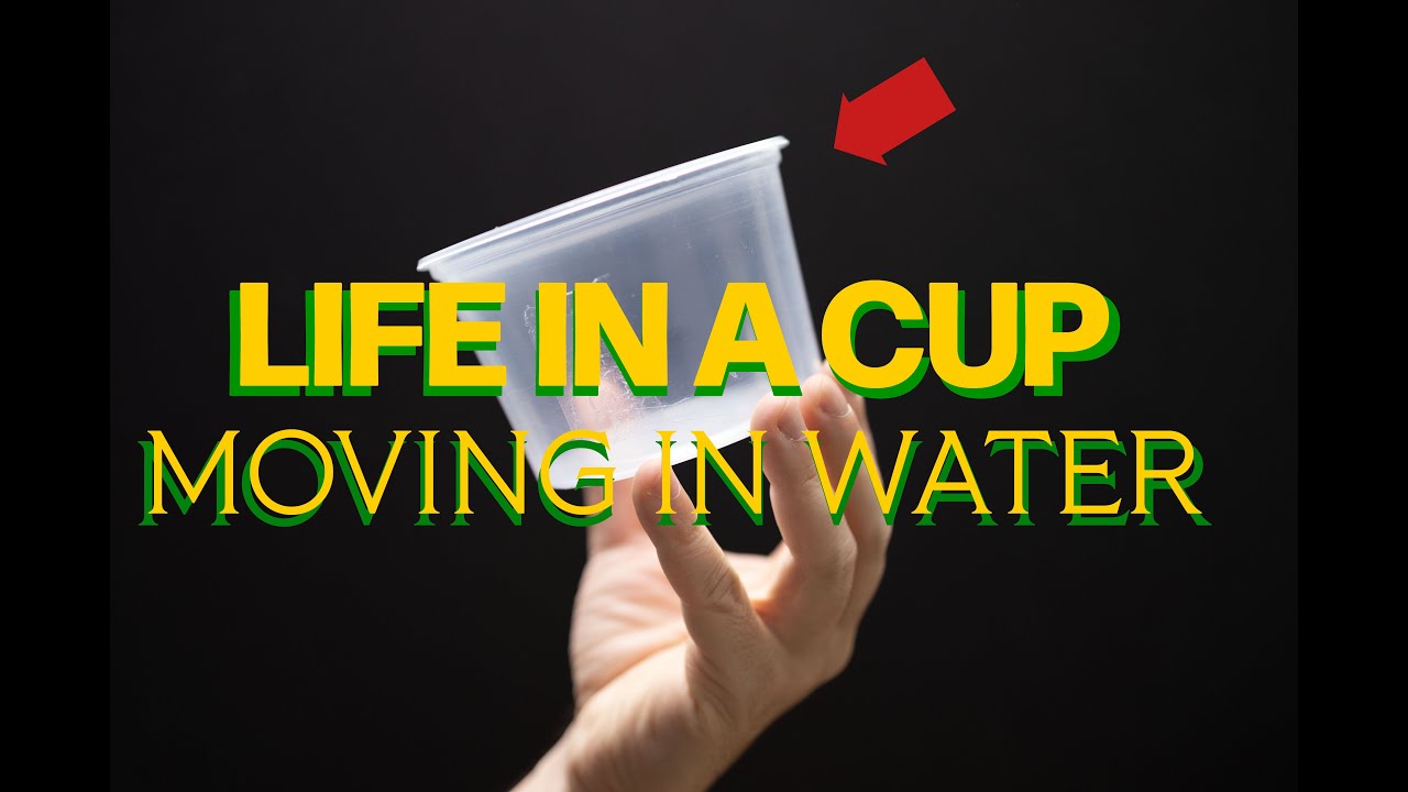 Life In A Cup - Moving In Water 