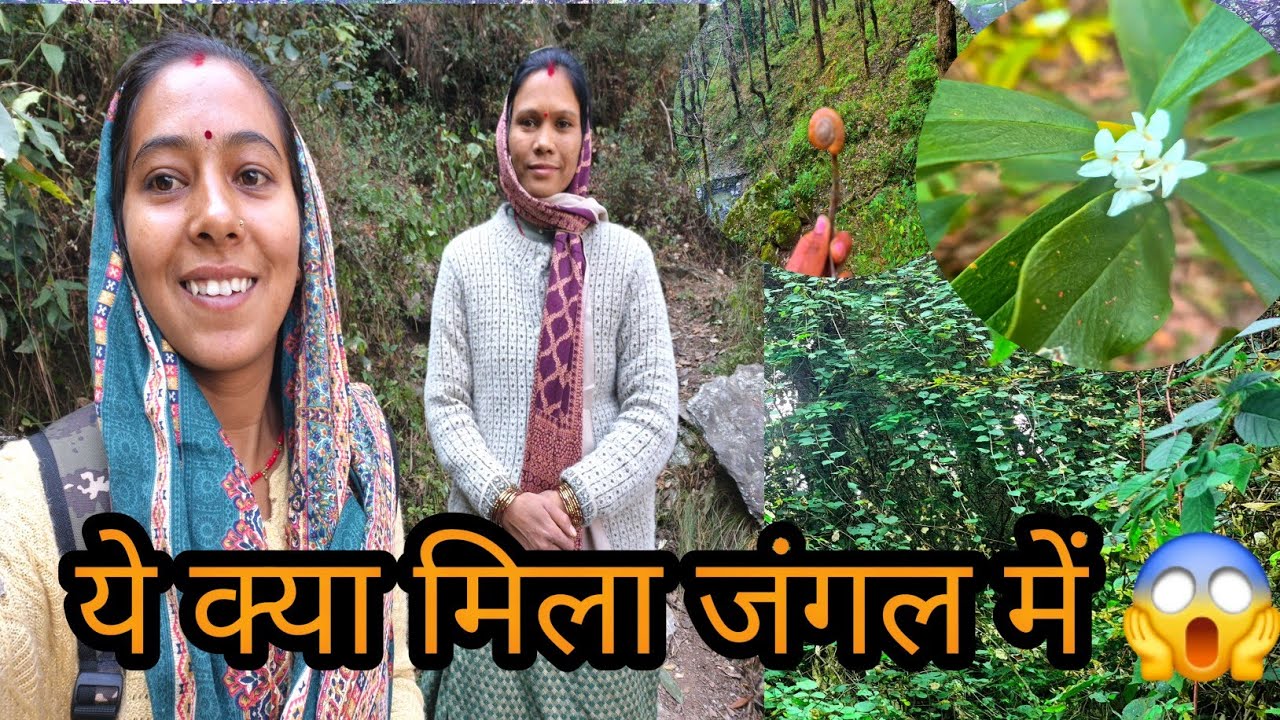 पहले बार गये इस जंगल में ||Jungle Tour❤️ 
