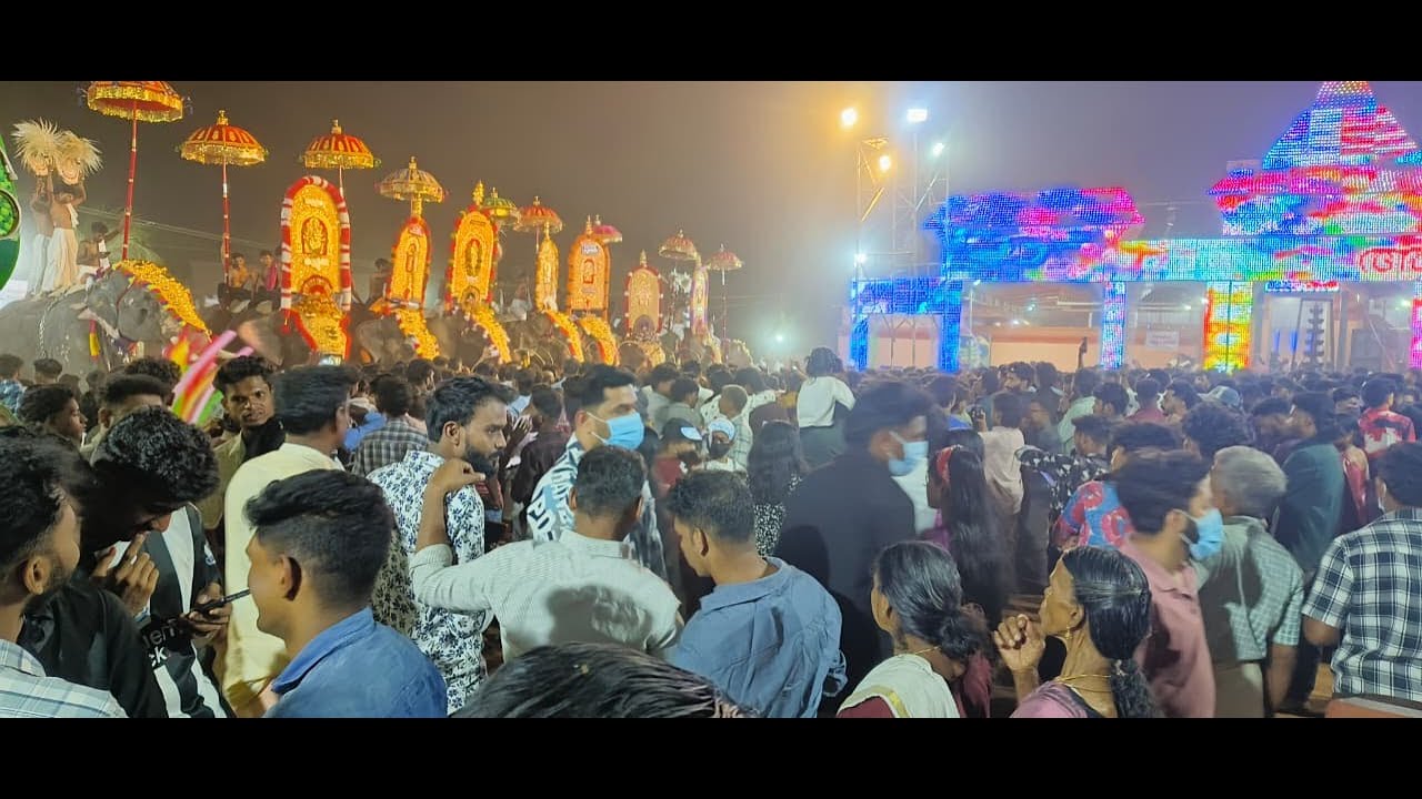അലനല്ലൂർ പൂരം ആഘോഷിച്ചു..