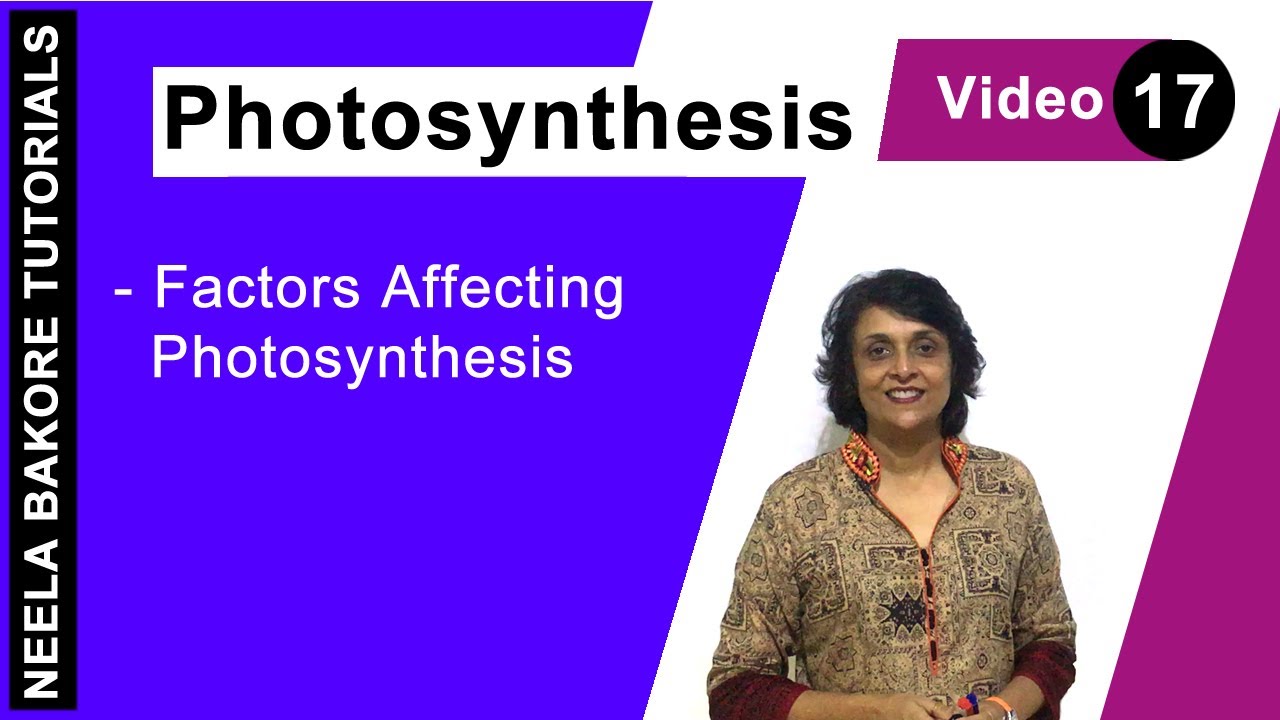 Photosynthesis | NEET | Factors Affecting Photosynthesis | Neela Bakore Tutorials