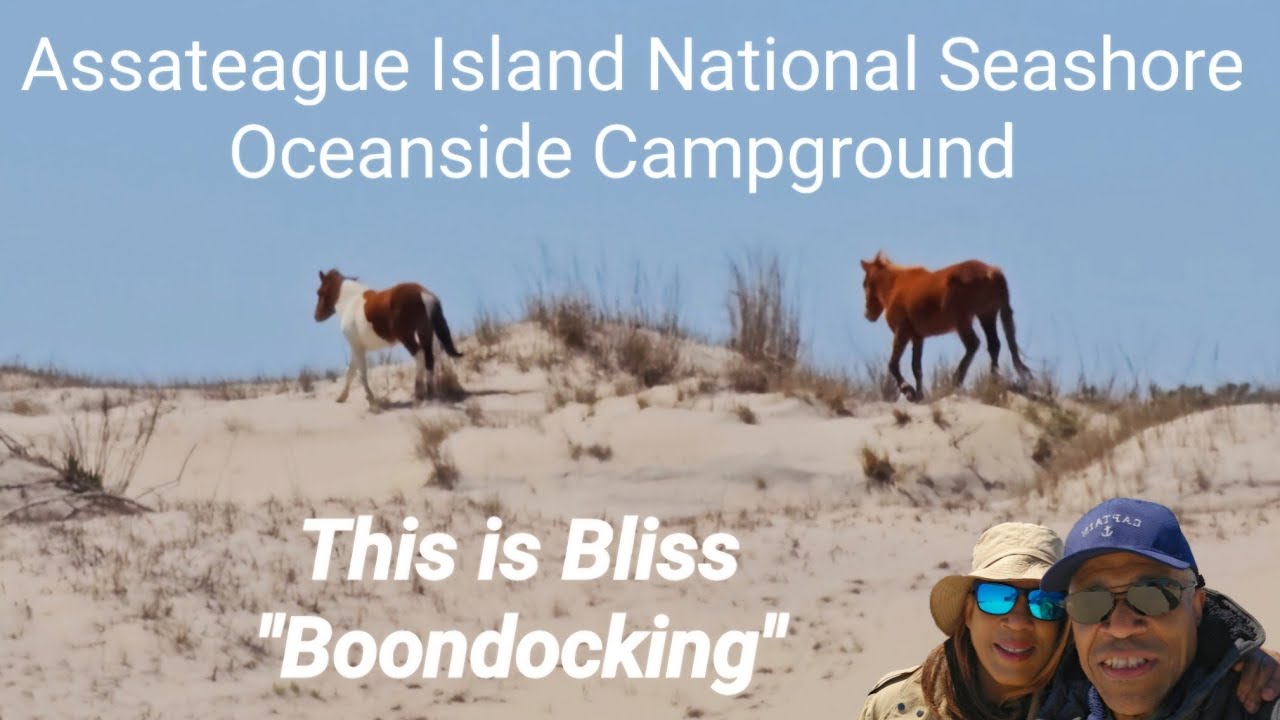Assateague Island National Seashore I First RV Adventure of 2025