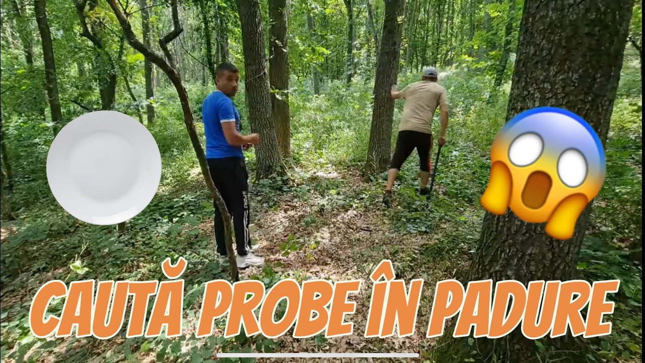 Costică caută probe să mă demasca  în fața lui Cornel de la Căsuța din Pădure !