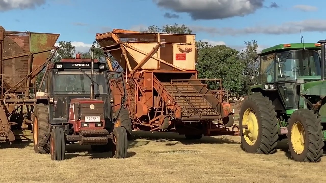 Harvesting Peanuts April 2023. Kingaroy Vintage Machinery Club.