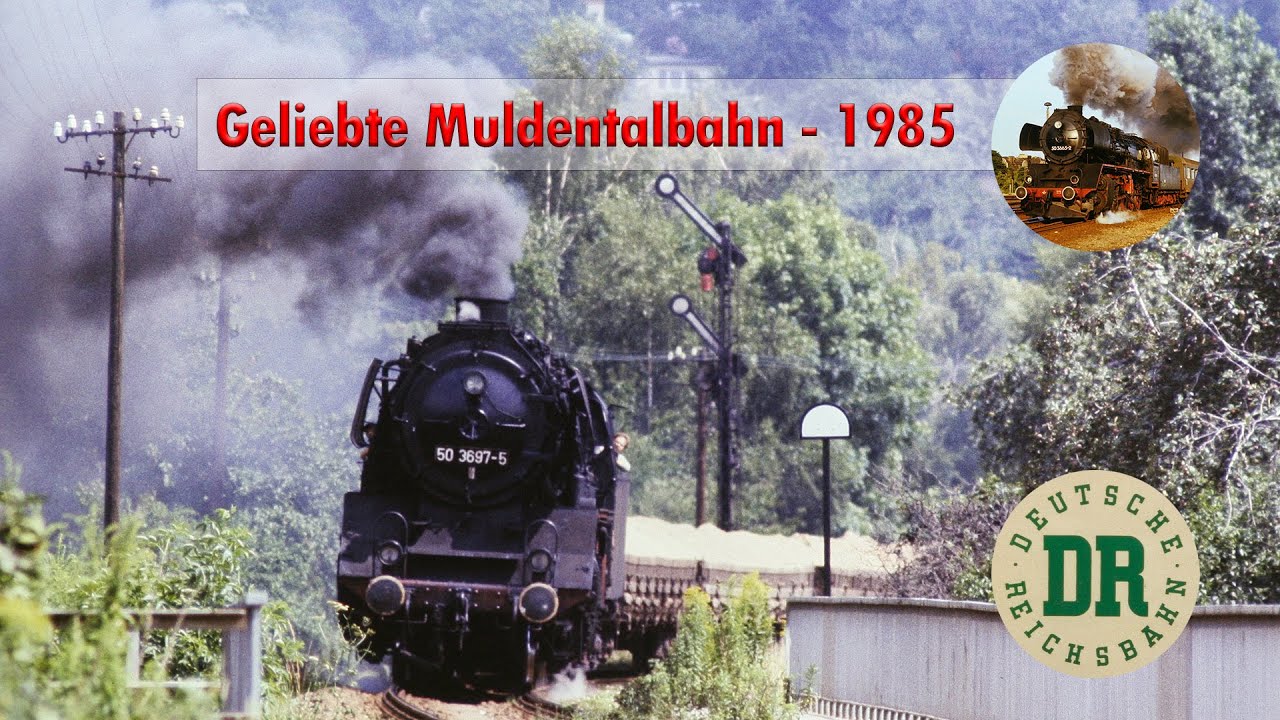 Dampf auf der Muldentalbahn - August 1985