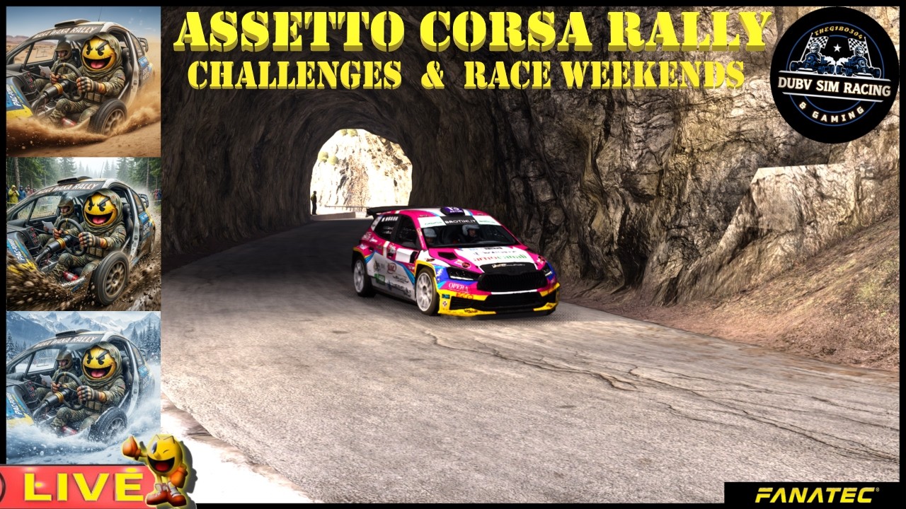 🎮ASSETTO CORSA RALLY    🏆 LET'S TRY OUT SOME OF THE NEWER FEATURES