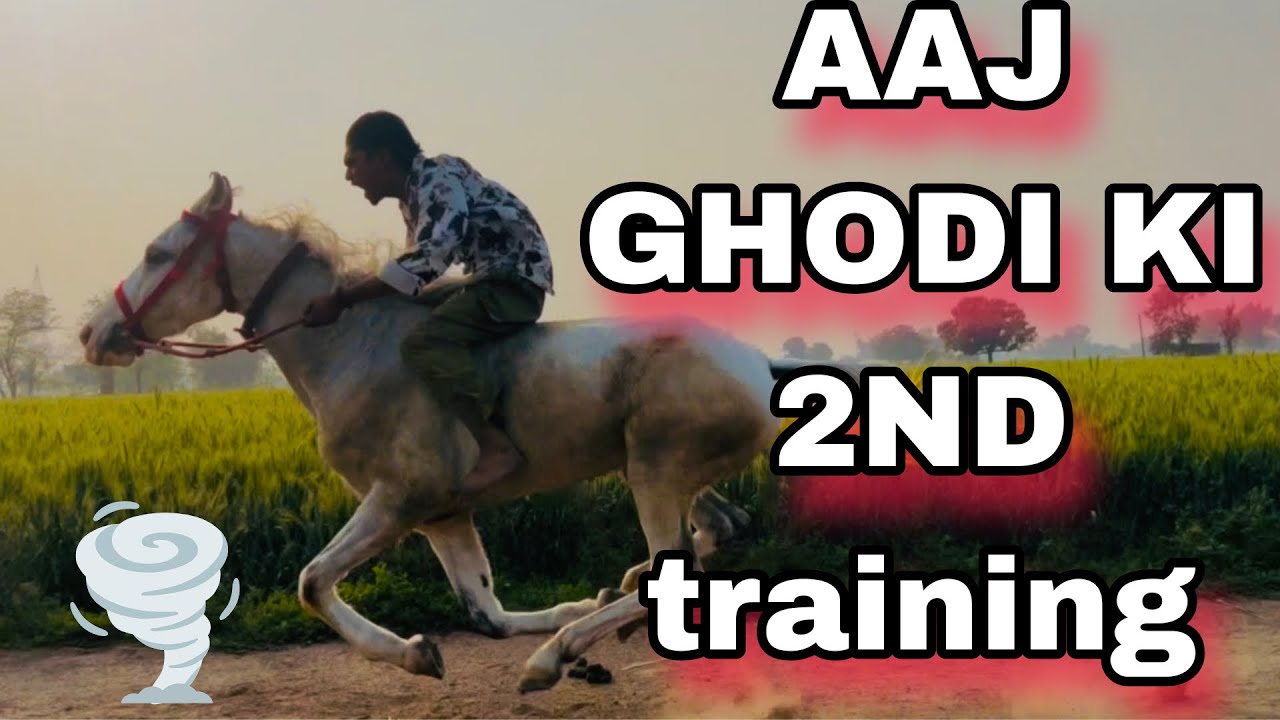 BIJLI KI TRAINING BAHUT HI ACCHI CHAL RHI HAI 🥰☺️ VLOG ACCHA LAGE DEKH KAR TOH LIYE COMMENT KARO 🙏