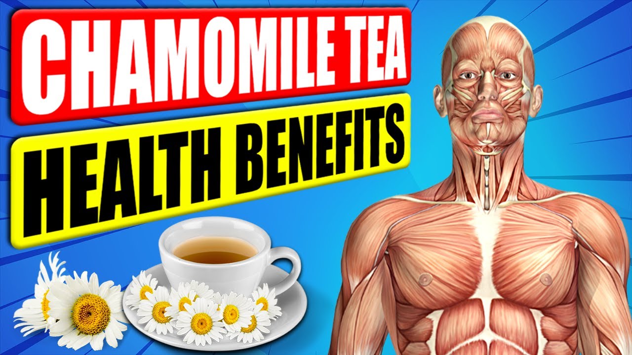 Drinking Chamomile Tea Every Day Will Do Wonders For Your Body