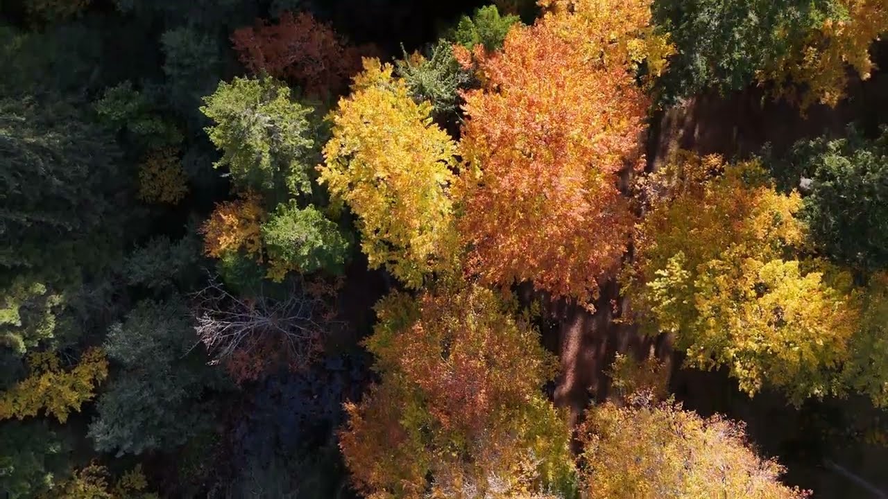 Autumn Tapestry: A Breathtaking Drone Journey over Rila Mountain