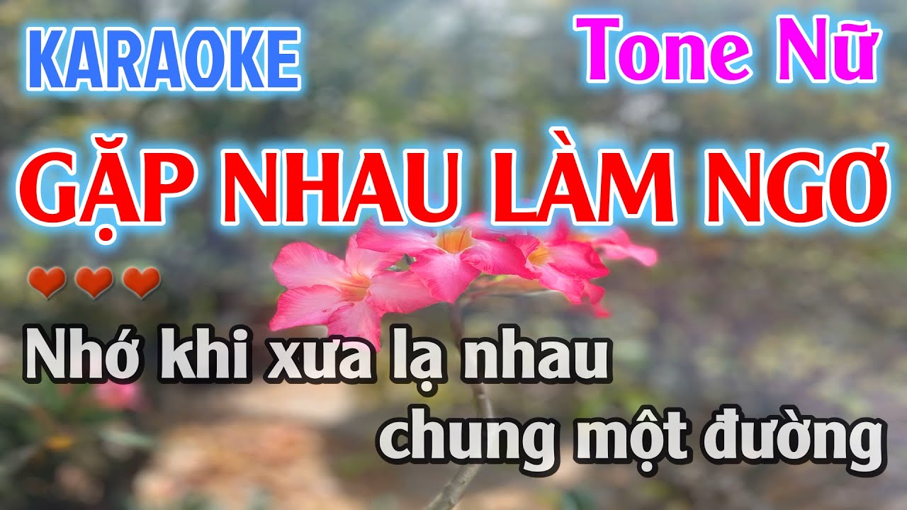 Karaoke Gặp Nhau Làm Ngơ Tone Nữ Nhạc Sống Dễ Hát - Karaoke Beat Chuẩn Tone Nữ Cha Cha Cha Hay Nhất
