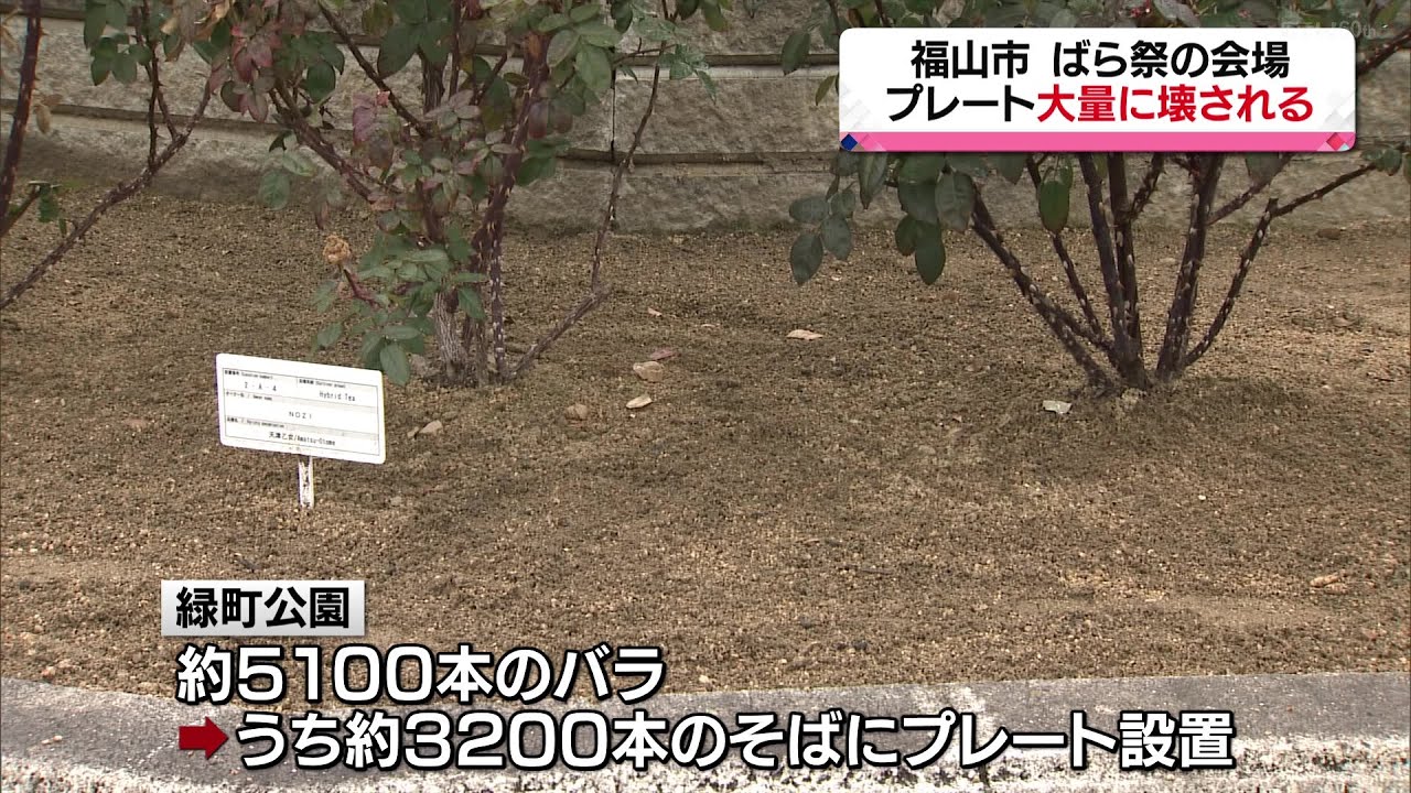 福山ばら祭の会場　バラのプレートが大量に壊される