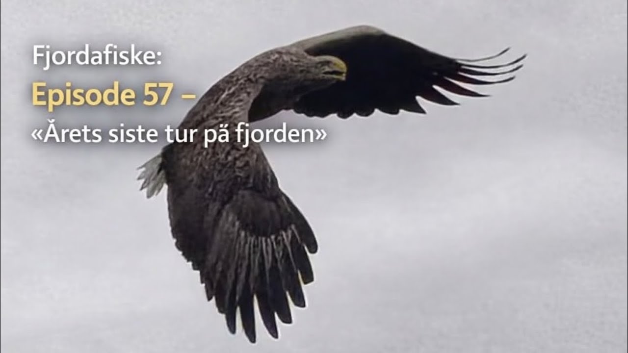 Fjordafiske: Episode 57 - «Årets siste tur på fjorden»