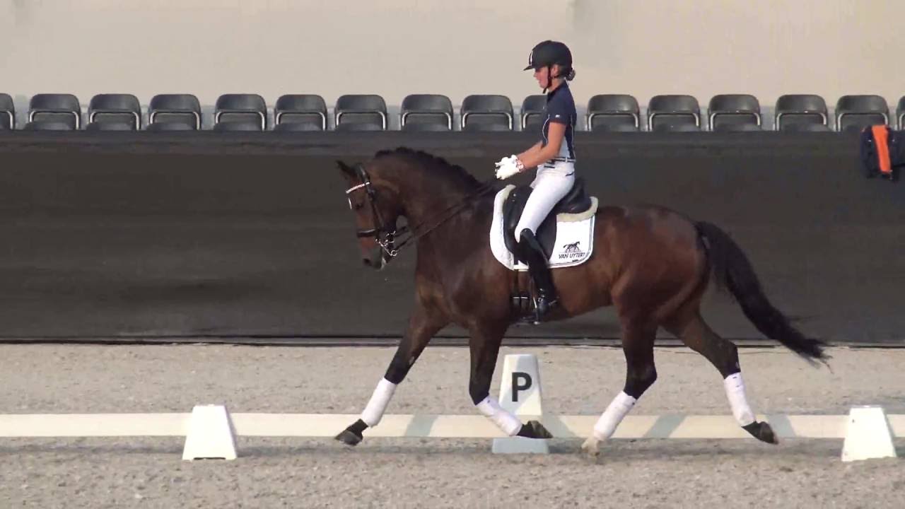 Renate van Vliet met Victory(Jazz) en Diederik v.Silfhout met 9jr.Sorento