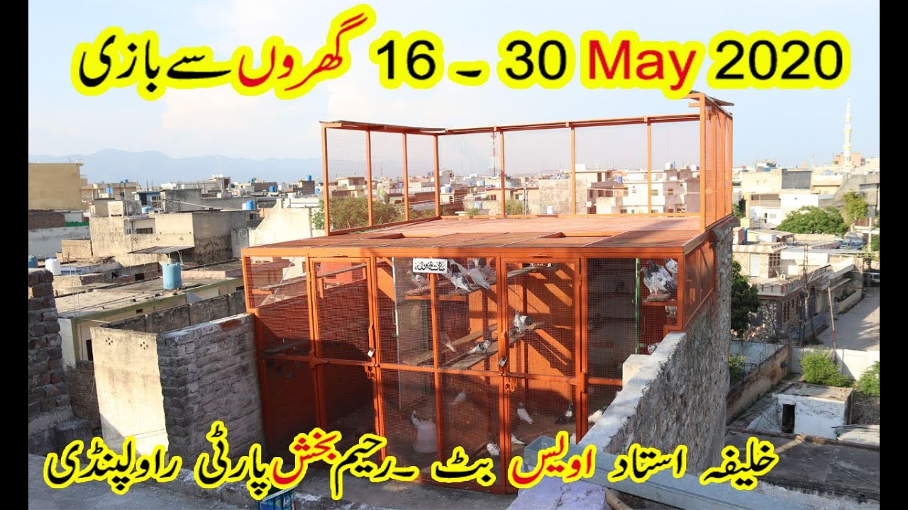 Kabootar Jaal Setup !! Parwazi Kabootar !! Ustaad Awais Butt Rahim Baksh Party Rawalpindi