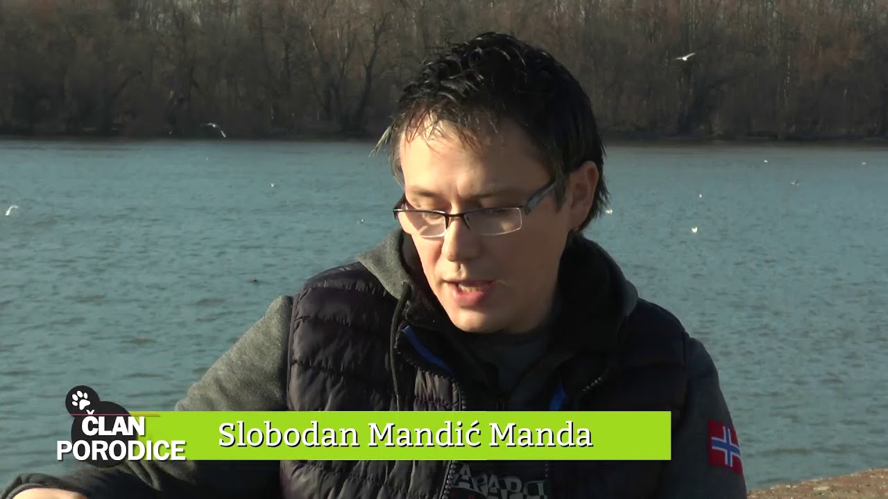 Član porodice ep.10 20.03.2019. - Kane korso