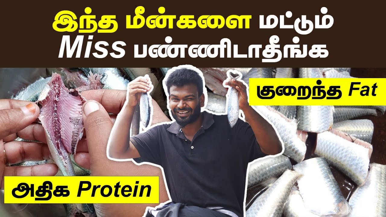 கொழுப்பைக் குறைத்து உடம்பை இரும்பாக்கும் மீன்கள்💪🏻 | இத தெரிஞ்சுகிட்டு மீன் வாங்குங்க |