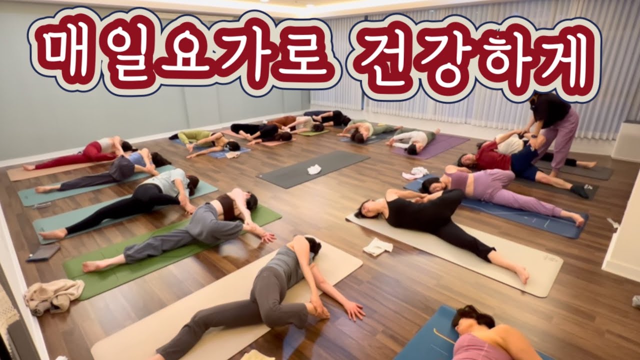 [엔젤요가] 매일요가로 건강하게~ 반복수련