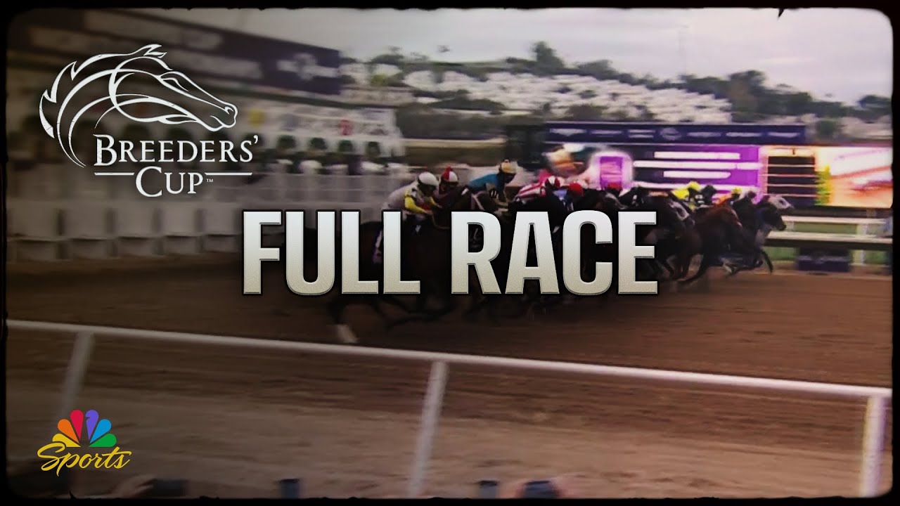 Breeders' Cup 2024: Dirt Mile (Full Race) | NBC Sports