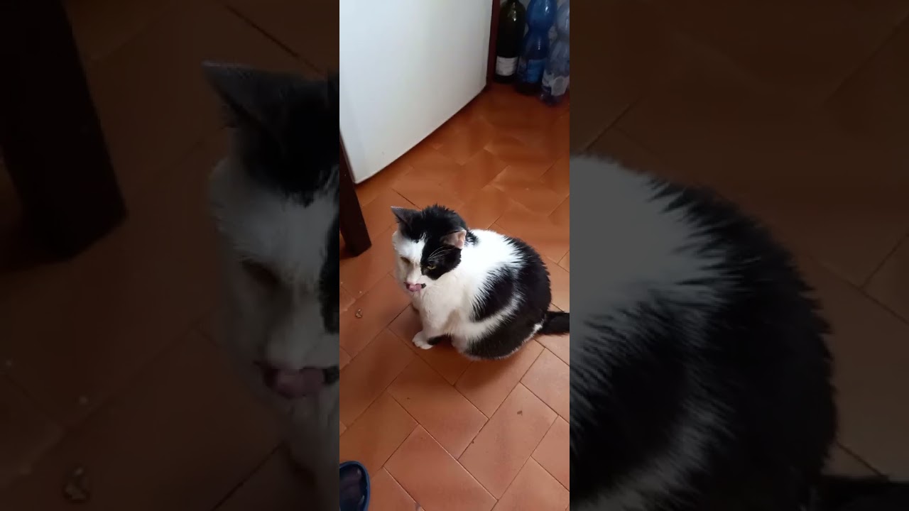 a casa di nonna è tutto più buono   
